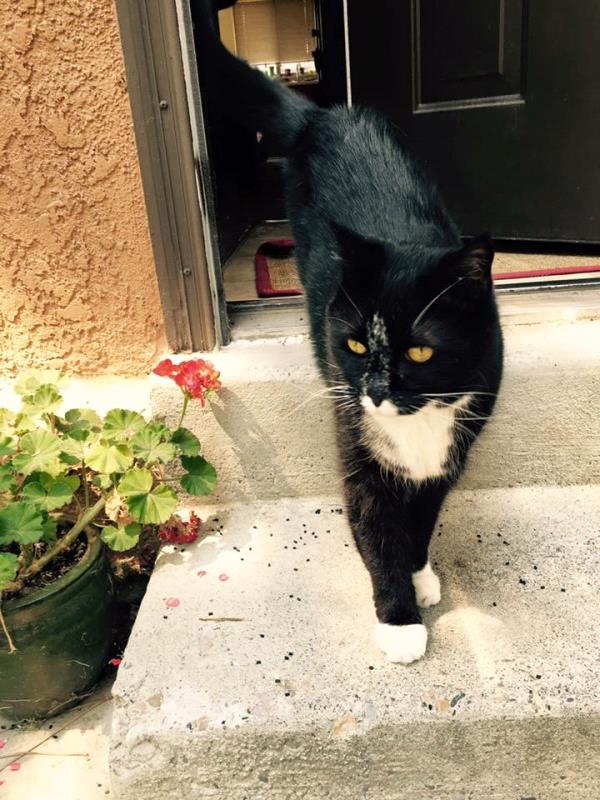 /Images/uploads/Humane Society of Utah/HSUCalendar/entries/1587thumb.jpg